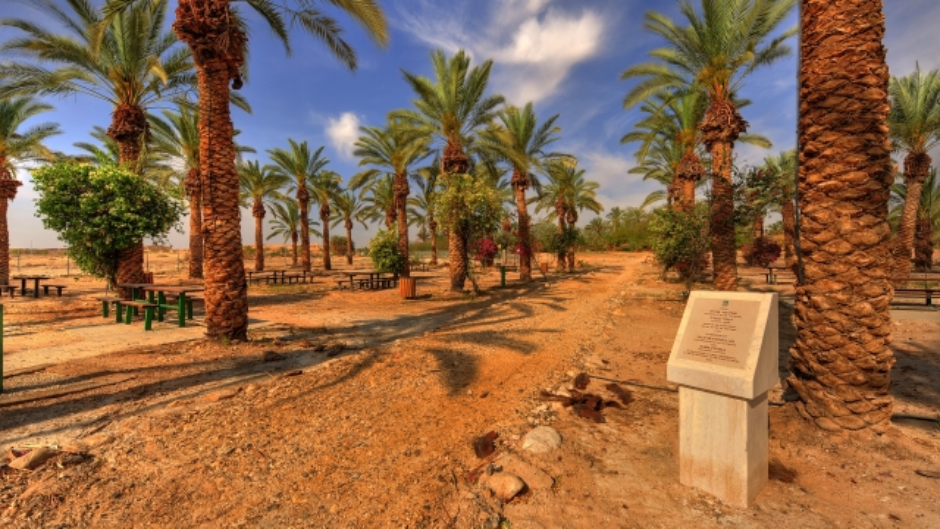 ערבה | StarsLike