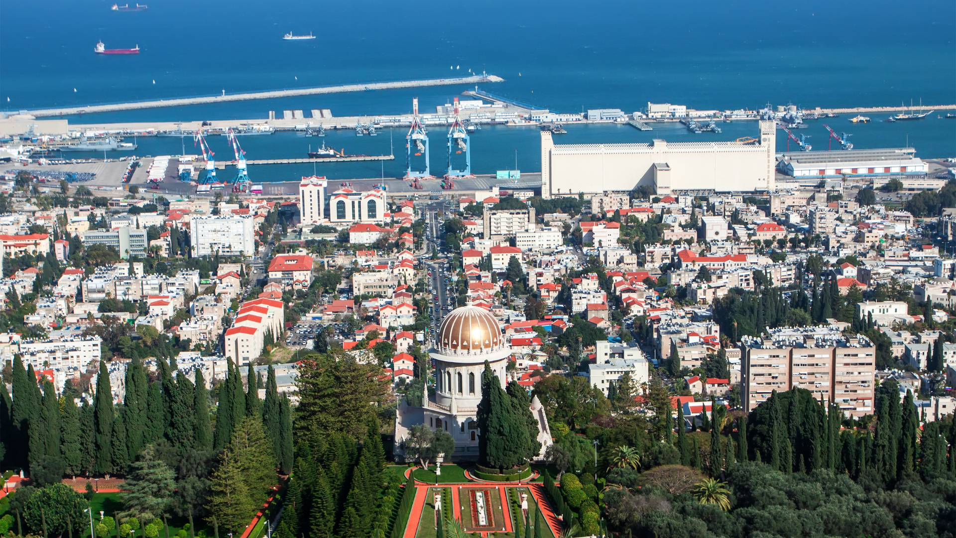 מישור החוף הצפוני | StarsLike