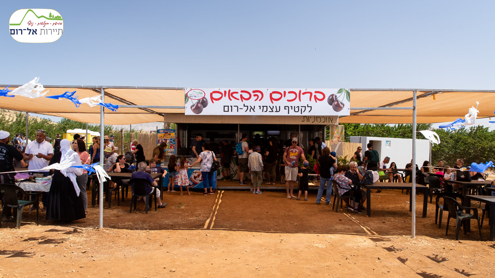 רמת הגולן והכנרת | StarsLike